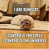 http://gobious.com/wordpress/wp-content/uploads/2009/01/dune-cat-300x300.jpg