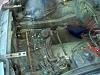 (EMISSIONS) Rat's Nest Close-Up Pics-picture-003.jpg