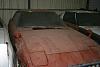Rare Parts?-savannas-3.jpg