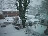 the good old white stuff-100_1175.jpg