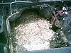 1st 7 gone-phto0051.jpg
