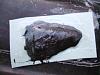 Fiberglass parts for FB...-rx-7-performance-parts-dress-up-057a.jpg