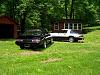 A few pics of my "kids"-100_0857.jpg