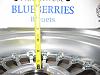 rarest and hottest wheels for 1st gen-img_1146.jpg