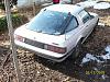 Pictures from when your SA/FB was first brought home-100_0973.jpg