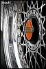 rarest and hottest wheels for 1st gen-10-12-08-096.jpg