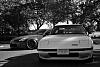 Recent pics of my 7-dsc_0422.jpg