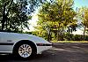 Recent pics of my 7-dsc_0428.jpg
