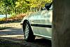 Recent pics of my 7-dsc_0448.jpg