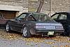 Want to see exhaust pics-fnsh2d.jpg