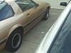 Freshend up the rims, heres some pics-133_0378.jpg