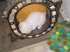 Pic of Rats Nest-36953_1537270472323_1251718081_31511463_3392460_n.jpg