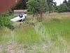 Accident-017.jpg