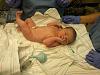 Check out my new baby!!!!-little-leon.jpg