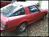 Pictures from when your SA/FB was first brought home-130522_059.jpg