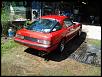Pictures from when your SA/FB was first brought home-20140423_154735.jpg