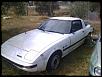 Pictures from when your SA/FB was first brought home-img06-15.jpg