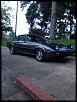 My lil friend. 82 gsl-image-2142876325.jpg