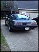 My lil friend. 82 gsl-image-4152909794.jpg