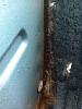 Pulled the bins and found...-image.jpeg
