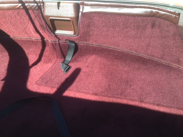 Name:  IMG_2908_zpso5tjn5kr.jpg
Views: 91
Size:  135.3 KB