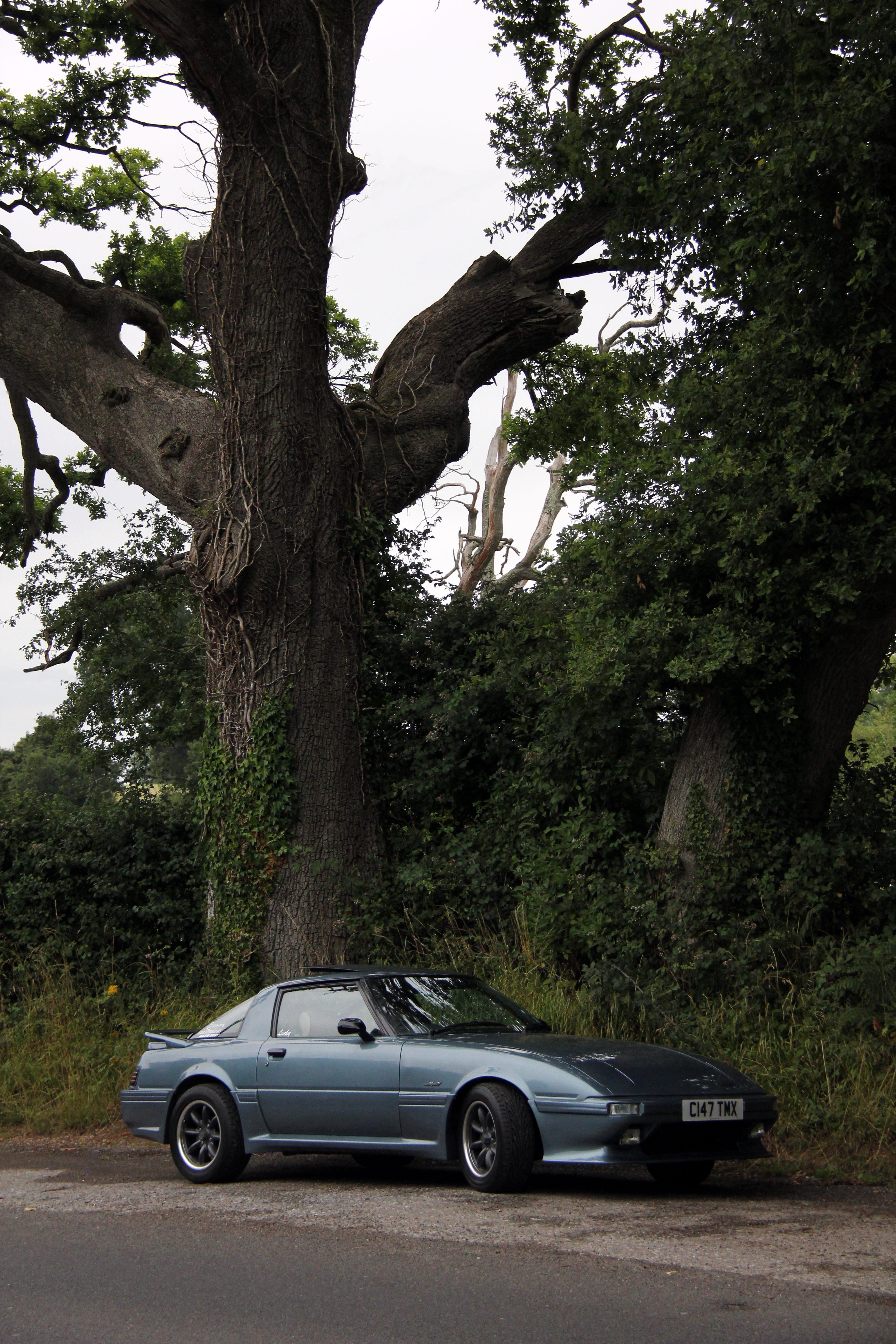 Name: bigtree_zpsd5d72d3d.jpg
Views: 342
Size: 2.29 MB