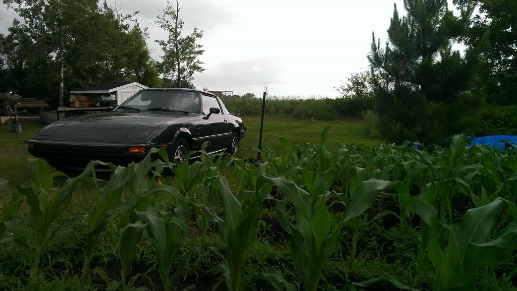 Name:  2013-06-28173022_zps483e6146.jpg
Views: 192
Size:  92.8 KB