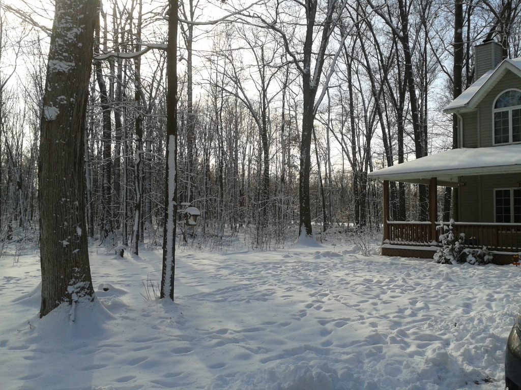 Name:  2012-12-28133355.jpg
Views: 88
Size:  376.7 KB