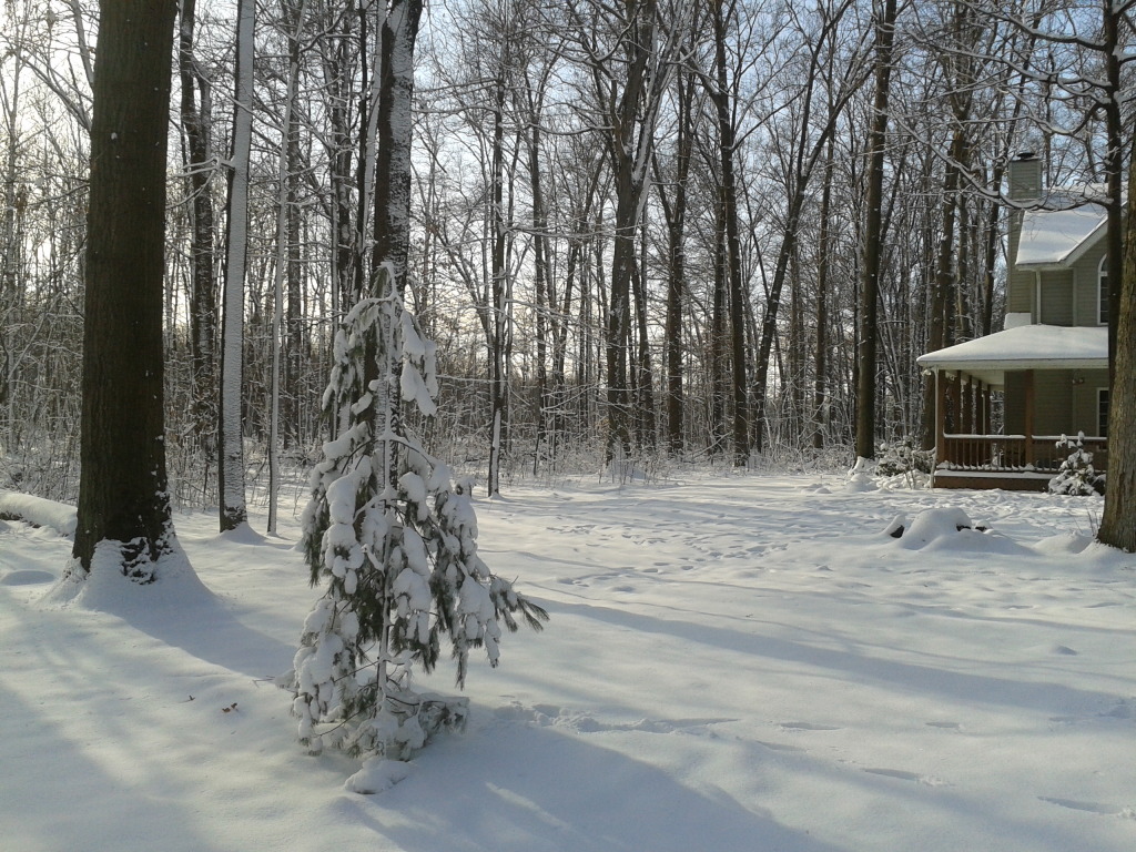 Name:  2012-12-28133500.jpg
Views: 49
Size:  357.0 KB