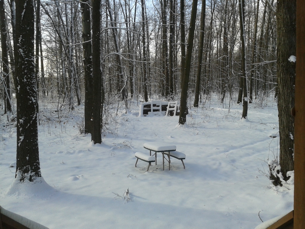 Name:  2012-12-28133555.jpg
Views: 89
Size:  317.7 KB