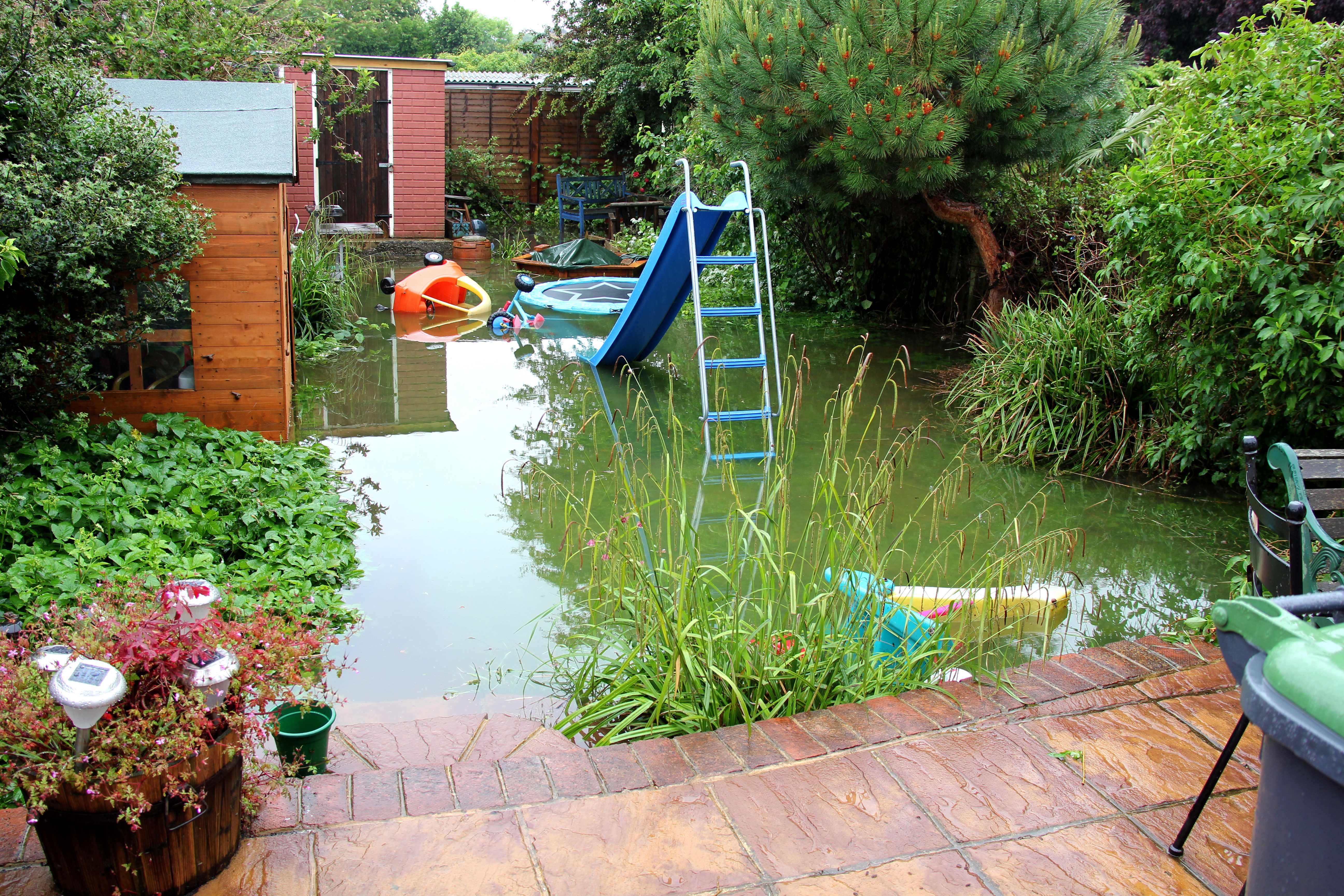 Name:  waterworldI.jpg
Views: 208
Size:  2.11 MB