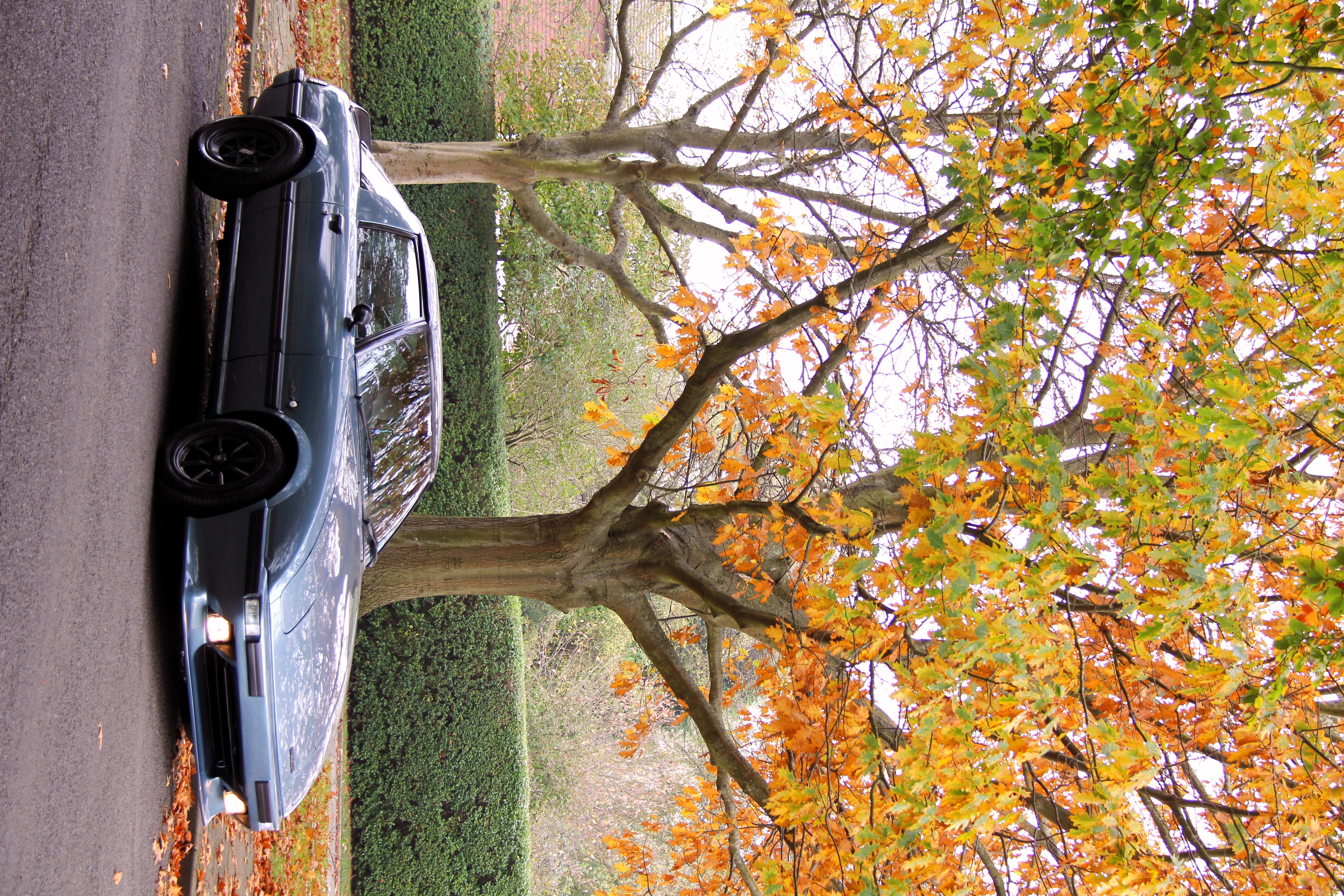 Name: bumper2.jpg
Views: 400
Size: 3.48 MB