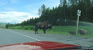 SA: AK>AZ  - Prequel: Down the Alcan-trip-5.jpg