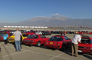 7Stock XX and Me-img_9180-sm.jpg