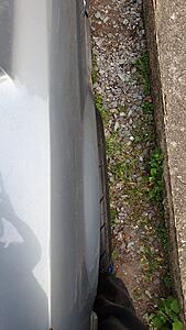 rarest and hottest wheels for 1st gen-ycbkcjrh.jpg