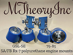 MTheoryInc polyurethane engine mounts-photo492.jpg
