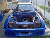 she got gutted this weekend-stipped.jpg