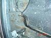 resto project on '82 has started...-no-collateral-damage.jpg
