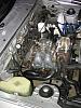 Pre Rat Nest Removal...-img_0545.jpg