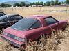 2 first gens-dsc00603.jpg
