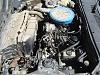 2 first gens-dsc00606.jpg