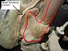 questions about shocks for the SA-10.31.05-001.jpg