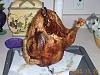 Does you turkey goes Brp, brp, brp...-turkey.jpg