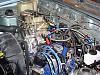 It's alive!-20051205_007a.jpg