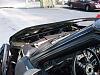 Roll Cage-dscf0128.jpg