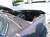 Roll Cage-dscf0131.jpg