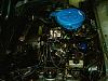 post pics of your engine bay!-519228476zxsotp_ph.jpg