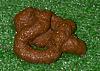 What's The 7's Biggest Competitor?-poops1.jpg