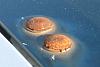 Can these be replaced?-pic004.jpg