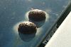 Can these be replaced?-pic002.jpg